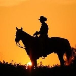 Meet your Posher, Oscar